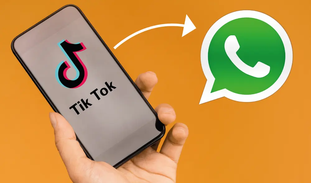 Los pasos sencillos para poder tener todos los videos que quieras en tu galería. Foto: composición LR/ Pexels