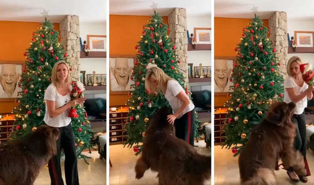 Una mujer se animó a revelar los adornos navideños que colocó en su sala; sin embargo, nada salió como lo esperado a causa de una travesura de su mascota. Foto: captura de Facebook