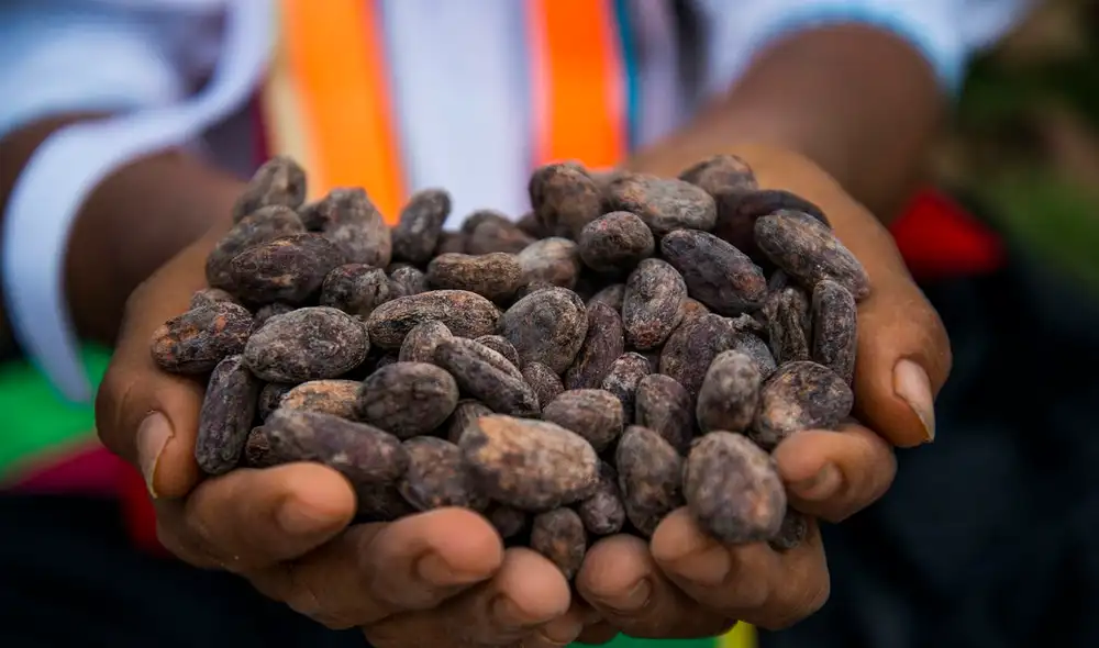 El 83% de la población en el Perú toma en cuenta la información nutricional de sus alimentos. Foto: Promperú