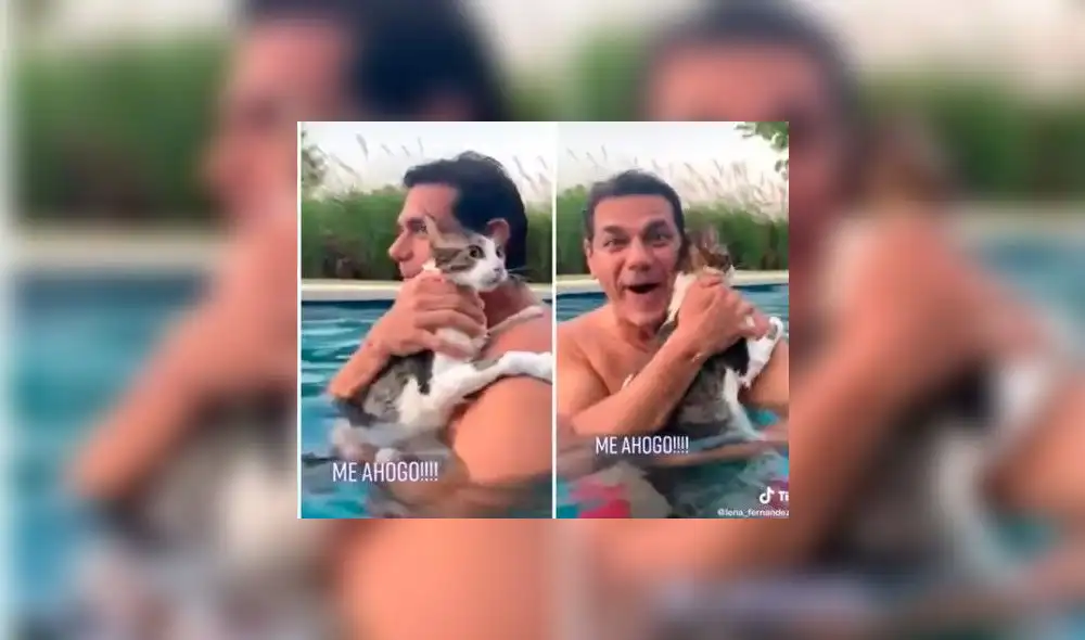 El video acumula cerca de 350.000 visualizaciones en redes sociales. Foto: captura de TikTok