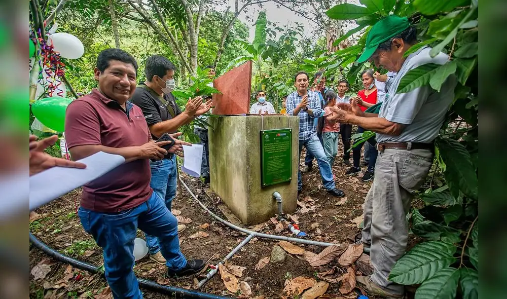 Beneficiarios irrigarán aproximadamente 30 hectáreas de cultivos de cacao. Foto: Midagri Beneficiarios irrigarán aproximadamente 30 hectáreas de cultivos de cacao. Foto: Midagri