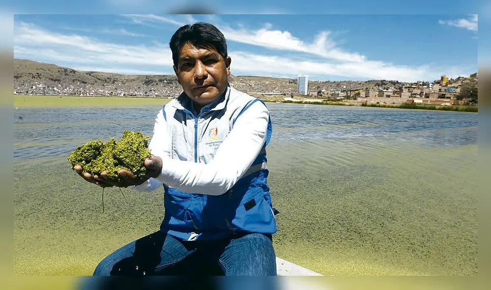 Contaminación. Lenteja de agua es cada vez notoria. Foto: La República Contaminación. Lenteja de agua es cada vez notoria. Foto: La República