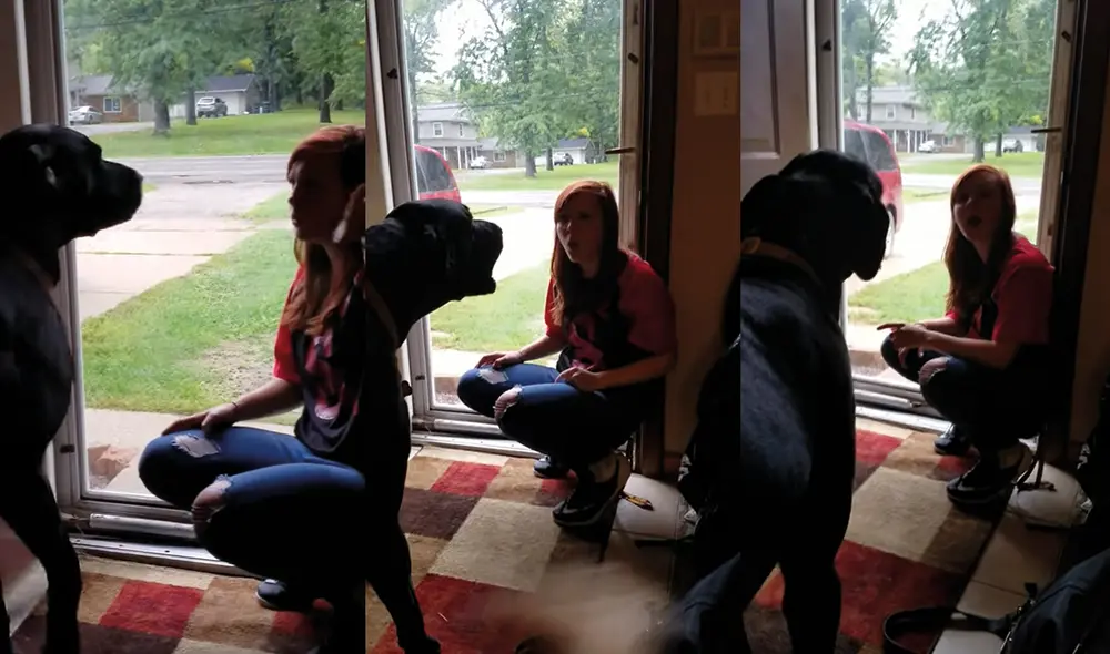 En el singular suceso también intervino la persona que grababa. Foto: captura de YouTube En el singular suceso también intervino la persona que grababa. Foto: captura de YouTube