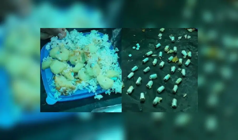 Pastillas estaban en medio de comida preparada. Foto: INPE