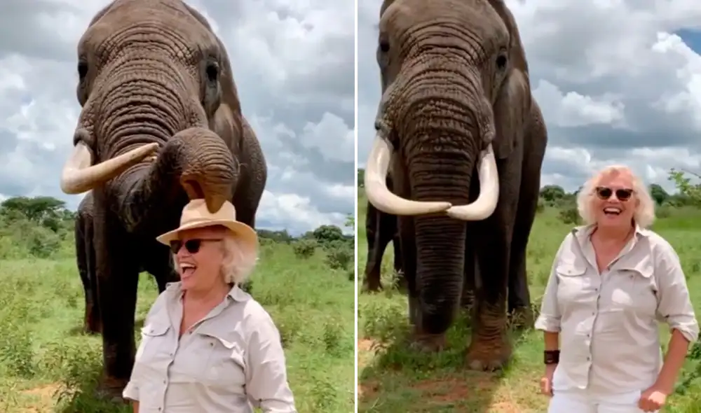 La escena ha conseguido superar los cinco millones de ‘me gusta’. Foto: captura de Instagram