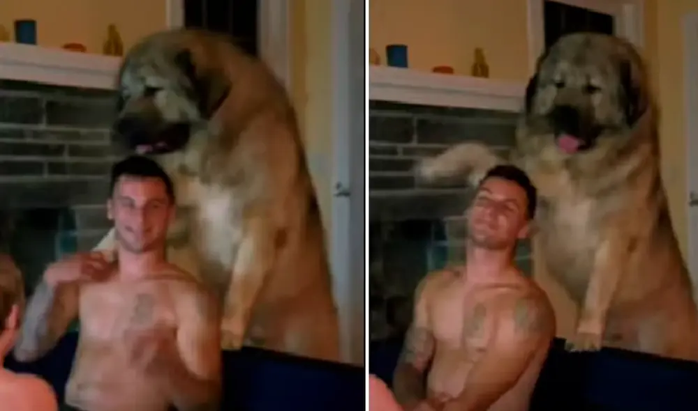 El video ha sido compartido en el canal Rumble Viral. Foto: captura de Facebook