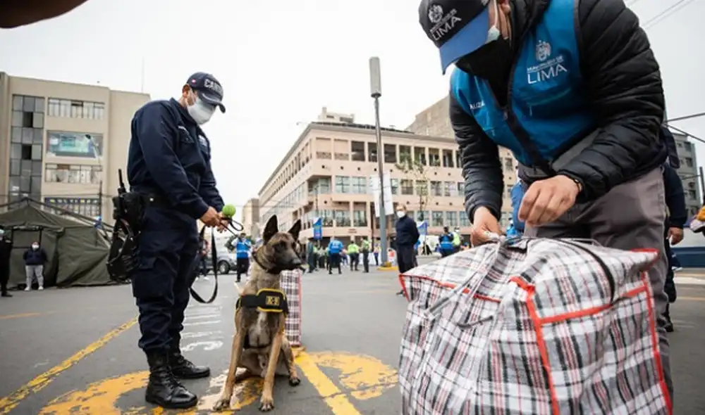 Perros doberman y pastor malinois estarán presentes durante trabajos de fiscalización. Foto: Municipalidad de Lima