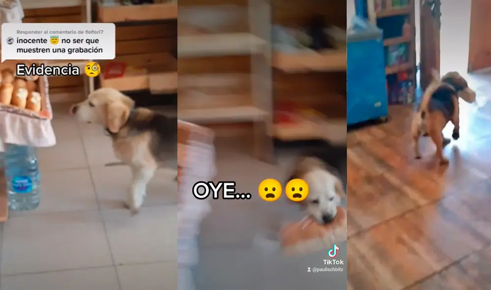 Video ha conseguido más de un millón y medio de visualizaciones. Foto: captura de TikTok