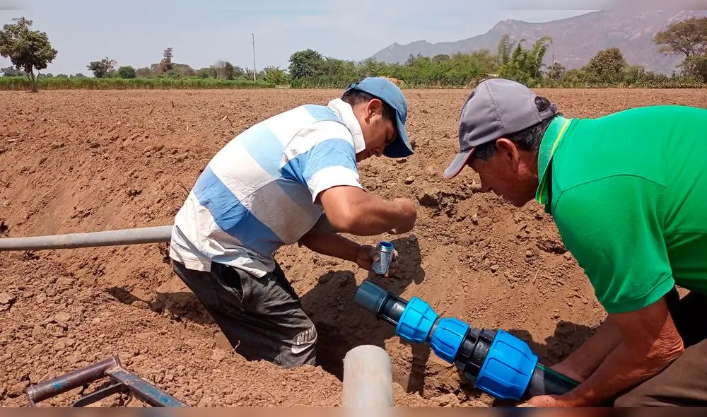 Especialistas de PSI y agricultores instalan tubería para riego tecnificado en Puchaca. Foto: PSI-Midagri