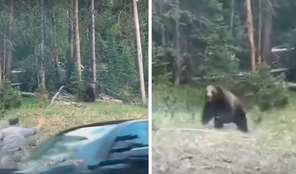 El video viral ha causado gran sensación en las redes sociales. Foto: captura de YouTube