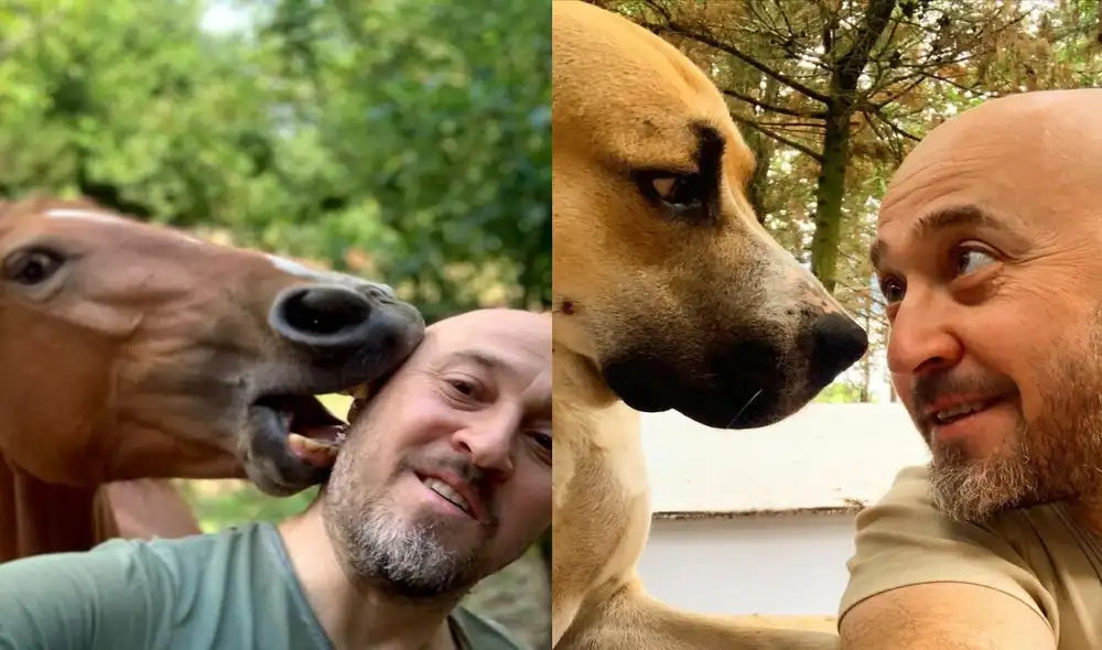 La historia de un hombre convierte su granja en un refugio de animales. Foto: captura de TikTok.
