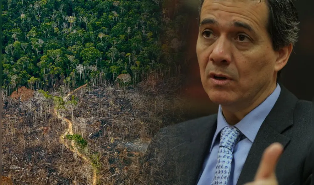 En el caso particular del marco jurítico a nivel económico, mientras más alejados estamos (de la capital) es más difícil que haya ese rol de hacer cumplir las leyes y normativas”, dijo Alonso Segura. Foto: composición/La República En el caso particular del marco jurítico a nivel económico, mientras más alejados estamos (de la capital) es más difícil que haya ese rol de hacer cumplir las leyes y normativas”, dijo Alonso Segura. Foto: composición/La República