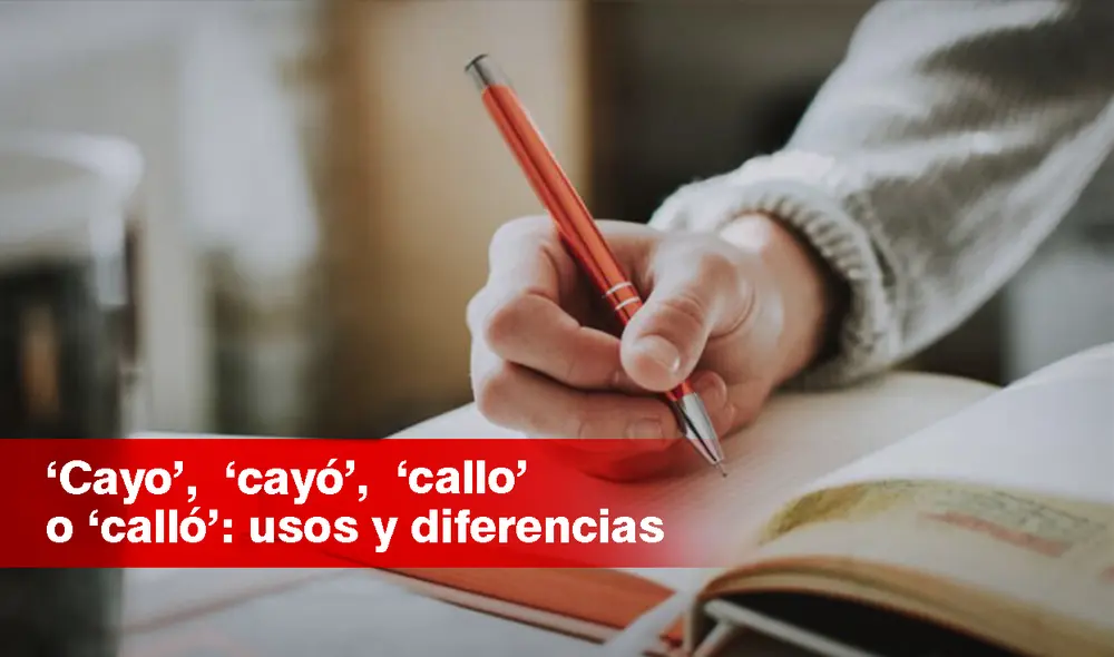 ‘Cayo’, ‘cayó’, ‘callo’ y ‘calló’ son palabras homófonas entre sí. Foto: composición LR ‘Cayo’, ‘cayó’, ‘callo’ y ‘calló’ son palabras homófonas entre sí. Foto: composición LR