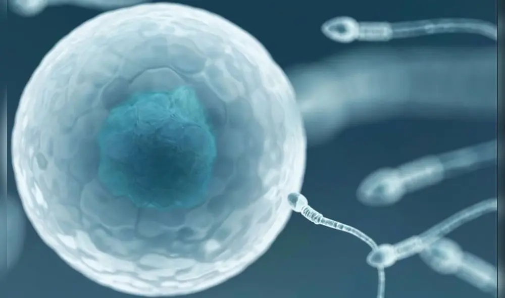 Sperm Positive fue lanzado por tres organizaciones benéficas antes del Día Mundial de la Lucha contra el Sida el 1 de diciembre de 2019. Foto: Fototeca de Ciencia