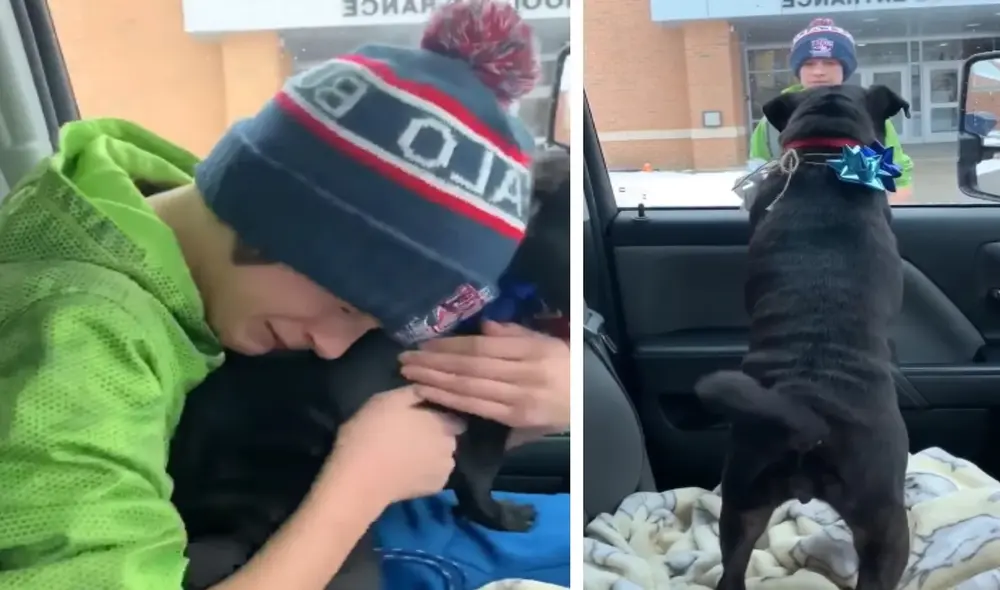 Niño tiene un emotivo reencuentro con su perrito que estuvo desaparecido durante más de un año. Foto: captura de TikTok.