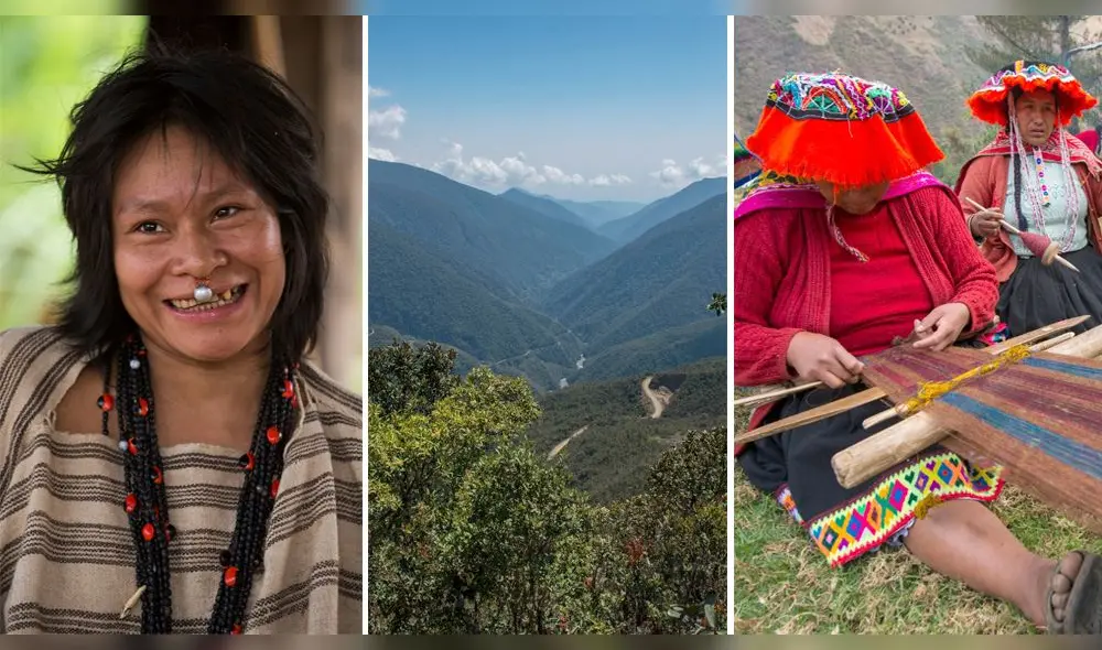 La Reserva del Manu ofrece una variada propuesta de atractivos para los visitantes. Foto: Reserva de Biosfera del Manu La Reserva del Manu ofrece una variada propuesta de atractivos para los visitantes. Foto: Reserva de Biosfera del Manu