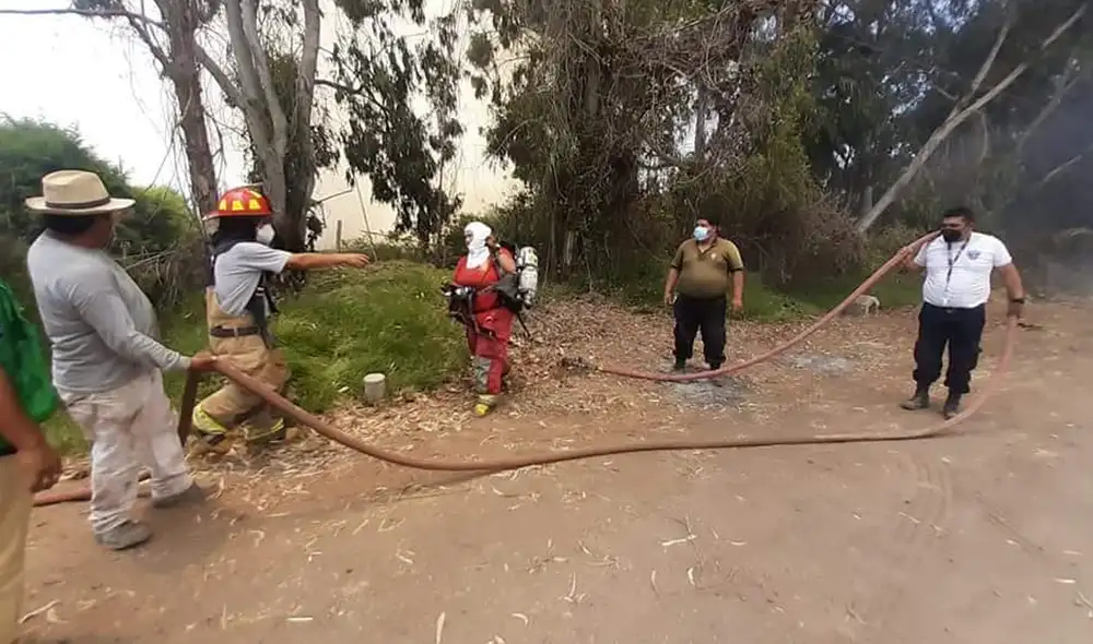 Bomberos están trabajando en conjunto para sofocar el fuego. Foto: Prensa Maleña Bomberos están trabajando en conjunto para sofocar el fuego. Foto: Prensa Maleña