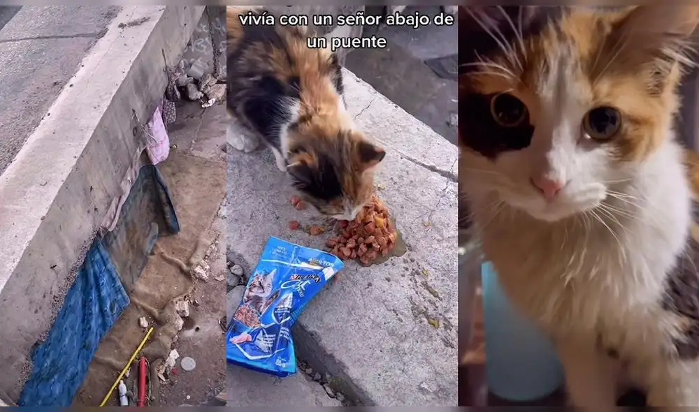 La historia de Dayra ha conseguido más de 324.100 reproducciones. Foto: captura de TikTok La historia de Dayra ha conseguido más de 324.100 reproducciones. Foto: captura de TikTok