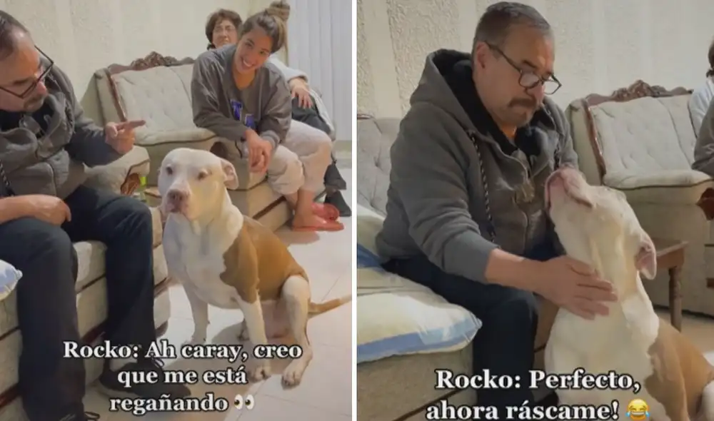 El video circula en las redes sociales y ya cuenta con más de 1,8 millones de likes. Foto: captura de TikTok