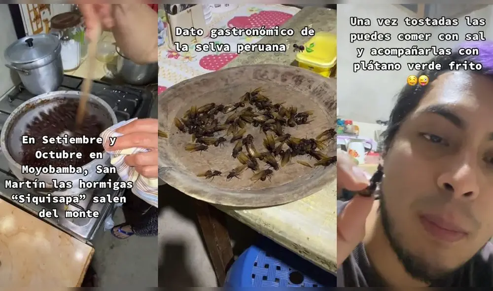 Video ha sumado más de 168.800 reproducciones en TikTok. Foto: captura de TikTok