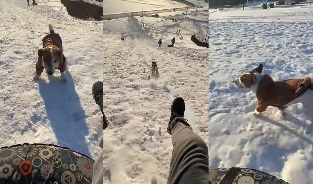 Ambos protagonistas se mostraron muy animosos mientras hacían la carrera. Foto: captura de YouTube Ambos protagonistas se mostraron muy animosos mientras hacían la carrera. Foto: captura de YouTube
