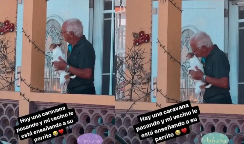 El hombre sacó a su perrito de su casa para cargarlo y observar junto a él la caravana. Foto: captura de TikTok