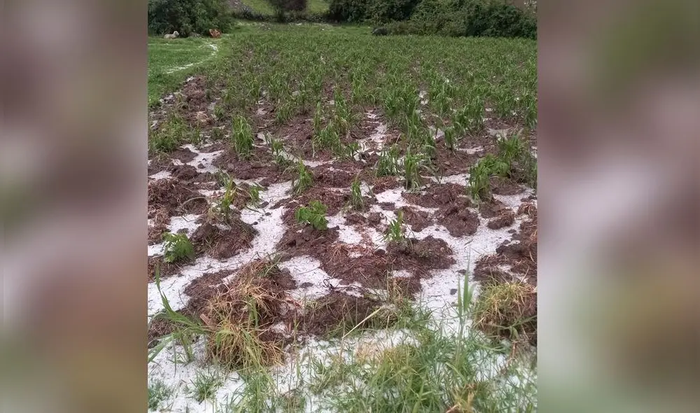 En la sierra de la región Áncash se reportan intensas lluvias y granizada. Foto: COER Áncash.