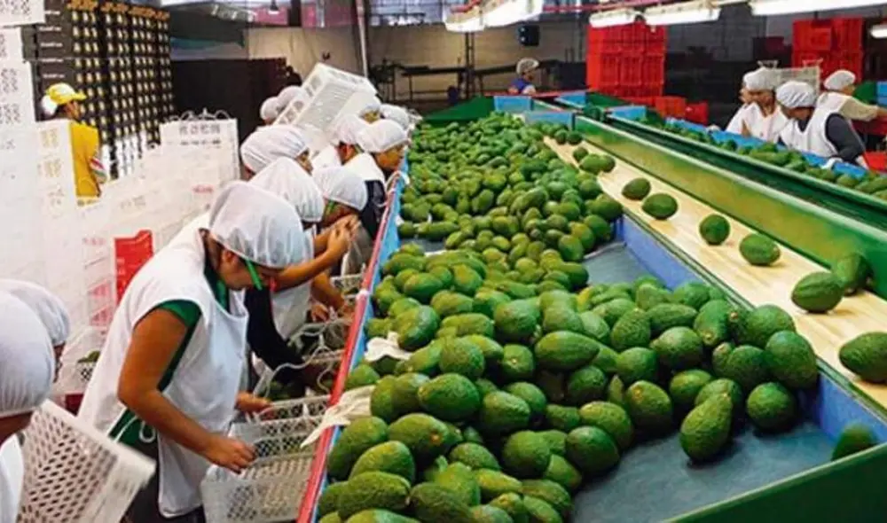 Tan solo en octubre las exportaciones tradicionales sumaron US$ 1.641 millones. Foto: Andina.