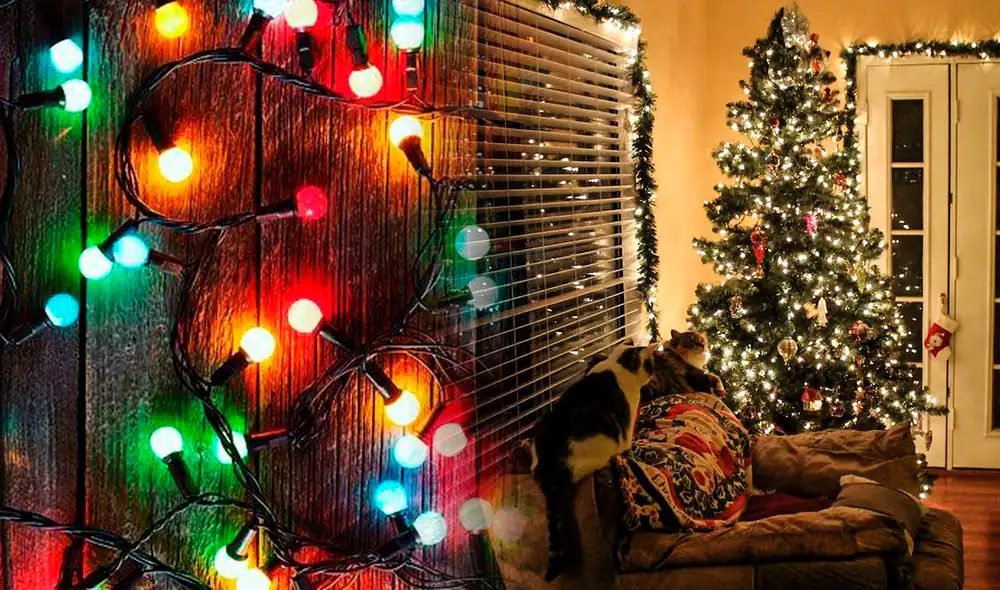 Conoce en esta nota cómo evitar sobrecargar las conexiones eléctricas y las luces navideñas. Foto: composición LR/Fabrizio Oviedo