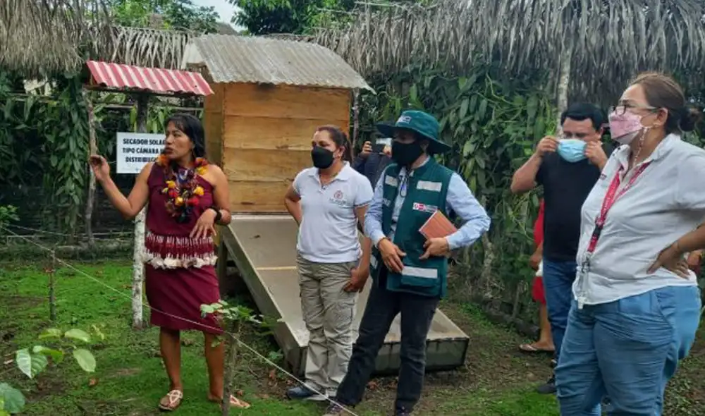 Dichas acciones han logrado fortalecer las capacidades competitivas de más de 700 productores de ganado bovino lechero. Foto: SERFOR Dichas acciones han logrado fortalecer las capacidades competitivas de más de 700 productores de ganado bovino lechero. Foto: SERFOR