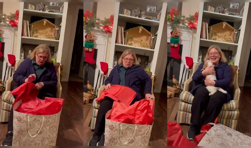 Video ha conseguido más de millón y medio de ‘me gusta’. Foto: captura de TikTok