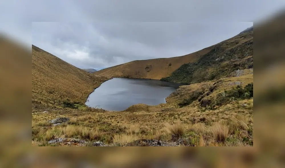 Con la disposición se protegerá 1.186 hectáreas de páramos y bosques. Foto: Andina Con la disposición se protegerá 1.186 hectáreas de páramos y bosques. Foto: Andina