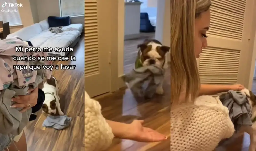 La usuaria @solisbella suele compartir en sus redes las aventuras y el día a día que vive al lado de su mascota. Foto: captura de TikTok La usuaria @solisbella suele compartir en sus redes las aventuras y el día a día que vive al lado de su mascota. Foto: captura de TikTok