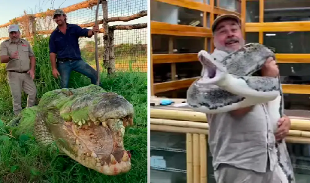 El video ha sido compartido en el canal 
JayPrehistoricPets. Foto: captura de YouTube