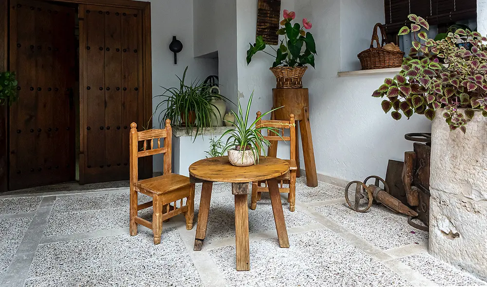 Conoce aquí qué plantas te convienen tener y cuáles no para este 2022. Foto: Unplash