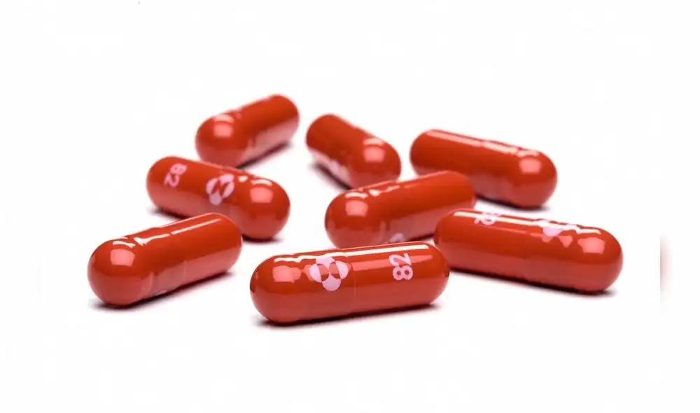 Molnupiravir, el medicamento experimental contra Covid-19 desarrollado por Merck y Ridgeback. Foto: AFP Molnupiravir, el medicamento experimental contra Covid-19 desarrollado por Merck y Ridgeback. Foto: AFP