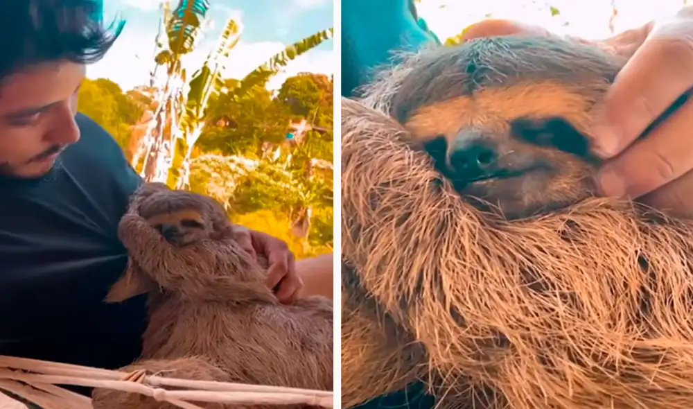 Un joven rescató a un indefenso animal que estaba en peligro; sin embargo, no imaginó que iban a formar una relación especial. Foto: captura de YouTube Un joven rescató a un indefenso animal que estaba en peligro; sin embargo, no imaginó que iban a formar una relación especial. Foto: captura de YouTube