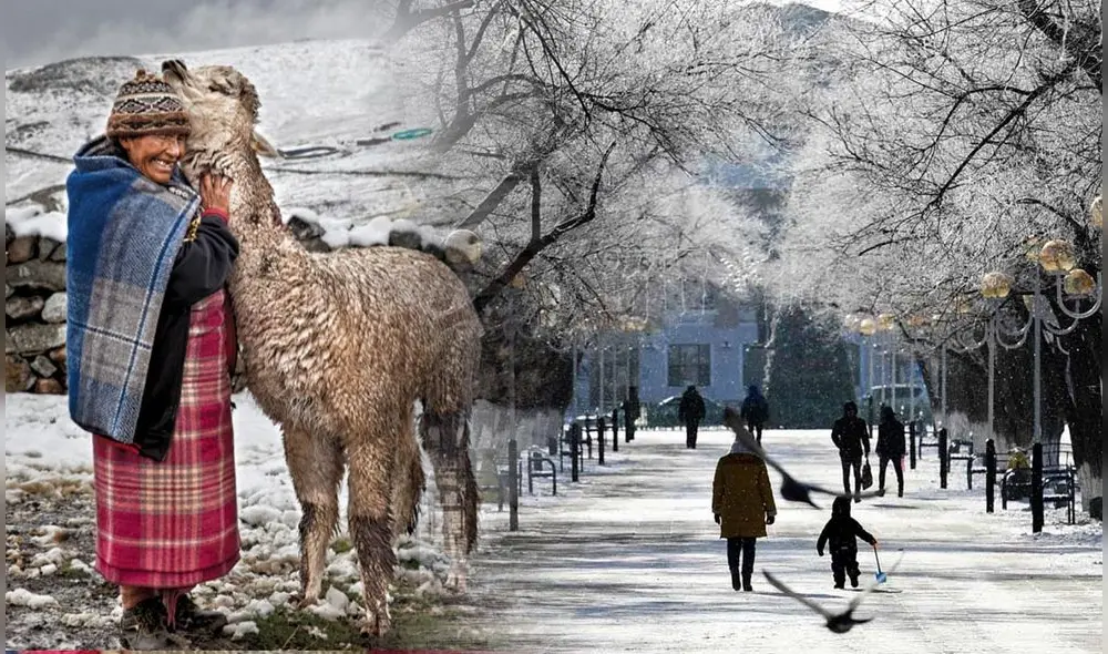 Promperú realizó un Showroom en dos ciudades danesas el 27 y 28 octubre pasados para promocionar la oferta exportable de textil y accesorios para el hogar presente en Perú Moda 2021 online. Foto: composición/La República