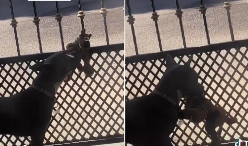 El clip compartido por la joven de usuario @ximenaportillo tuvo miles de comentarios de personas que quedaron cautivadas por el gesto del trabajador de limpieza. Foto: captura de TikTok