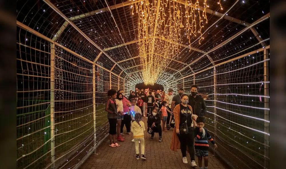 La gente disfruta de las luces de Navidad en la entrada del Festival de Luz del Zoológico en Johannesburgo. Foto: AFP