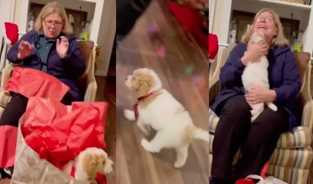 La tierna reacción de una mujer al recibir un cachorro como regalo de Navidad. Foto: captura de TikTok.