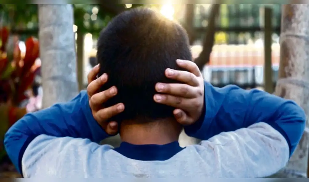 Niños con TEA. Sufren con las detonaciones, el ruido les causa una conmoción particular en el cerebro. Niños con TEA. Sufren con las detonaciones, el ruido les causa una conmoción particular en el cerebro.