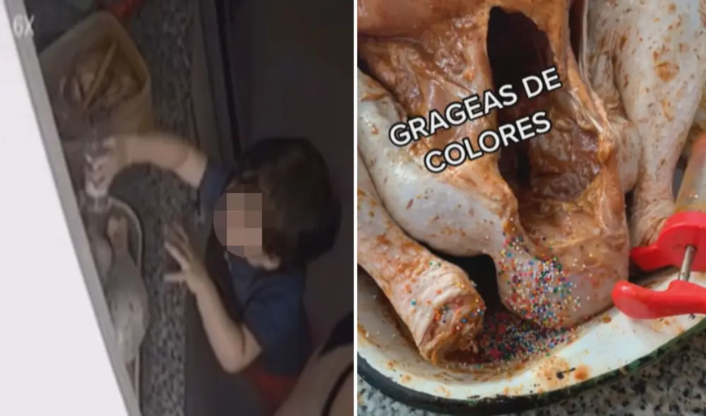 Miles de usuarios no tardaron en reaccionar a estas divertidas imágenes. Foto: captura de TikTok