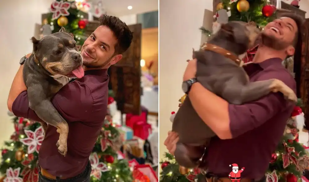 Andrés Wiese pasa la Navidad acompañado por su perrita Menta. Foto: composición/ Instagram