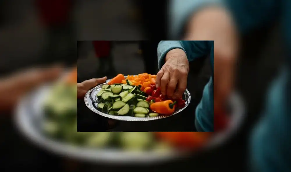 Expertos de Harvard recomiendan calidad antes de cantidad en un plato de comida. Foto: AFP. Expertos de Harvard recomiendan calidad antes de cantidad en un plato de comida. Foto: AFP.