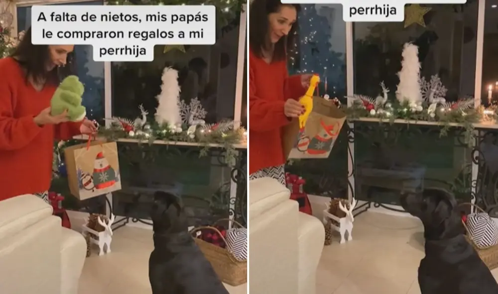 Las tiernas imágenes se volvieron tendencia en varias redes sociales. Foto: captura de TikTok