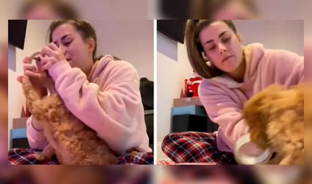 El cachorro suma más de 180.000 seguidores en su cuenta de TikTok. Foto: captura de TikTok