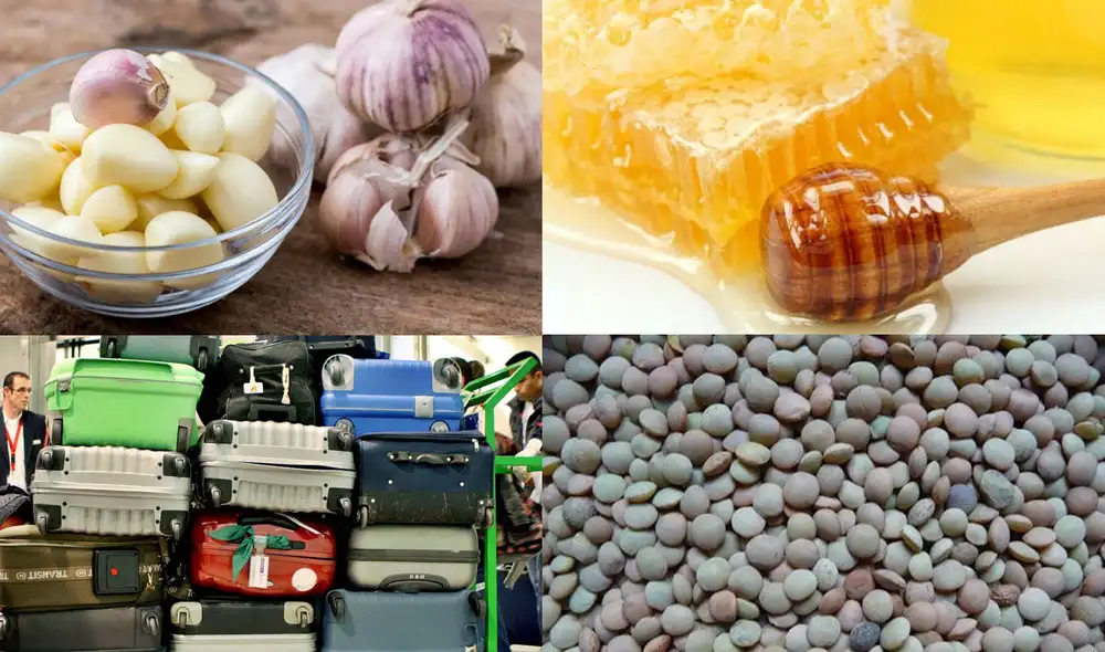 Además de utilizar ropa interior de color amarilla y comer las tradicionales 12 uvas, existen otros rituales que también podrás llevar a cabo durante las celebraciones de Año Nuevo. Foto: composición LR