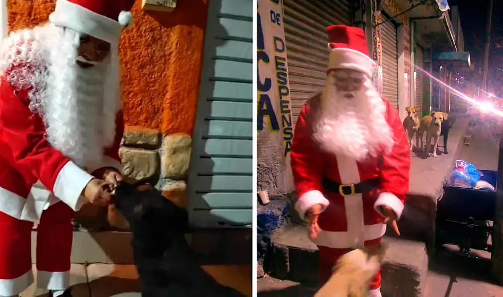Precisos momentos en el que un miembro de Escuadrón Salchicha se convierte en Santa Claus para llevarle comida a los perros callejeros. Foto: Escuadrón Salchicha