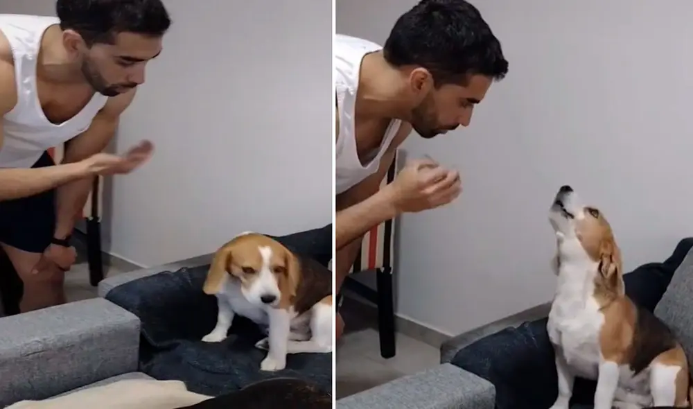 El gracioso video ya cuenta con más de 27.000 likes, además de otros cientos de comentarios. Foto: captura de TikTok El gracioso video ya cuenta con más de 27.000 likes, además de otros cientos de comentarios. Foto: captura de TikTok